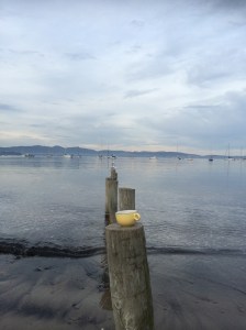 Tea time after the rivulet walk