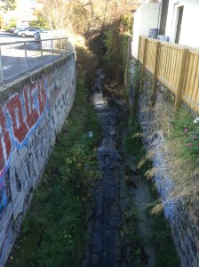 Sandy Bay Rivulet from Dr Syntax