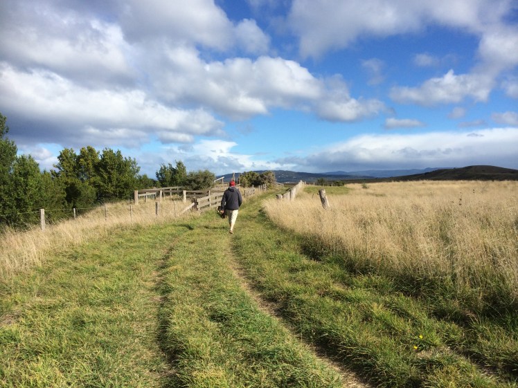 TowardstheStockYardsShellyBeach