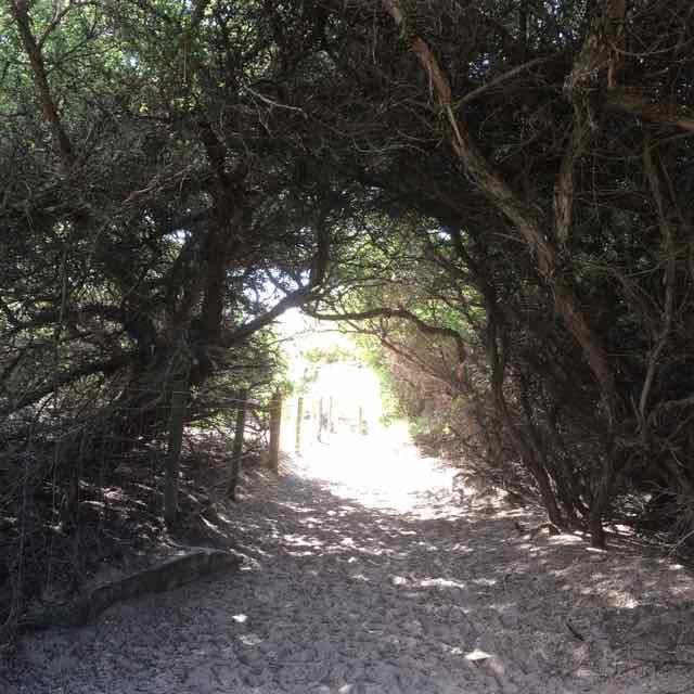 Path down to Sandy Bay Point