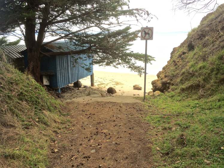 Looking down the south path to Grange Beach