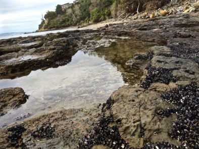 Rockpool