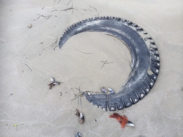 Found on Blinking Billy Beach 2