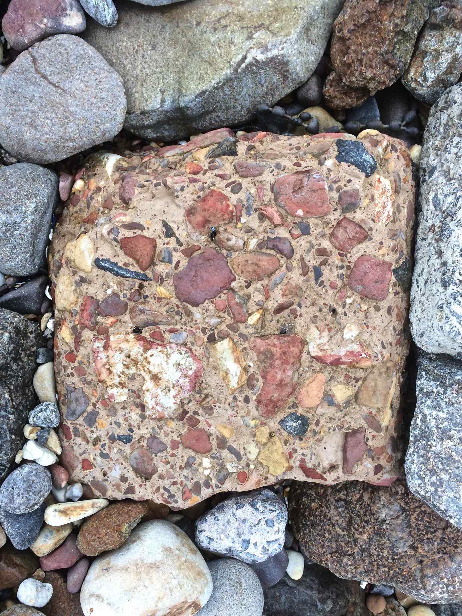 Anthropocite conglomerate