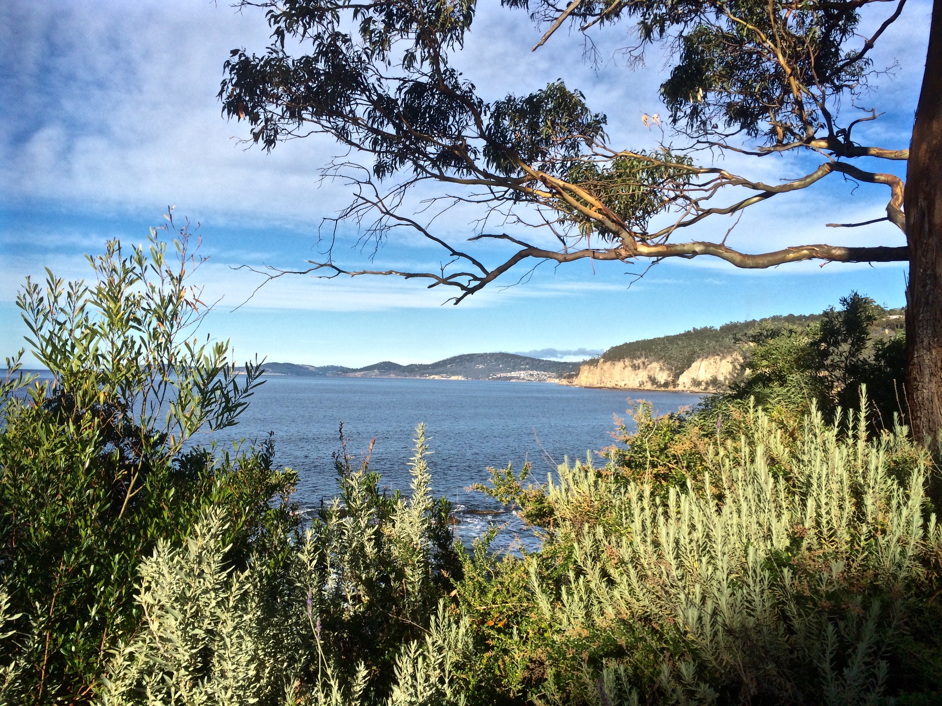 Derwent River: Alum Cliffs – Tasmanian Beaches: Exploring the Coast on ...