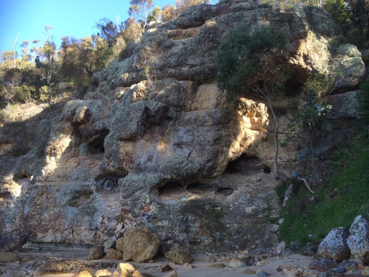 The cliffs at Boronia Beach