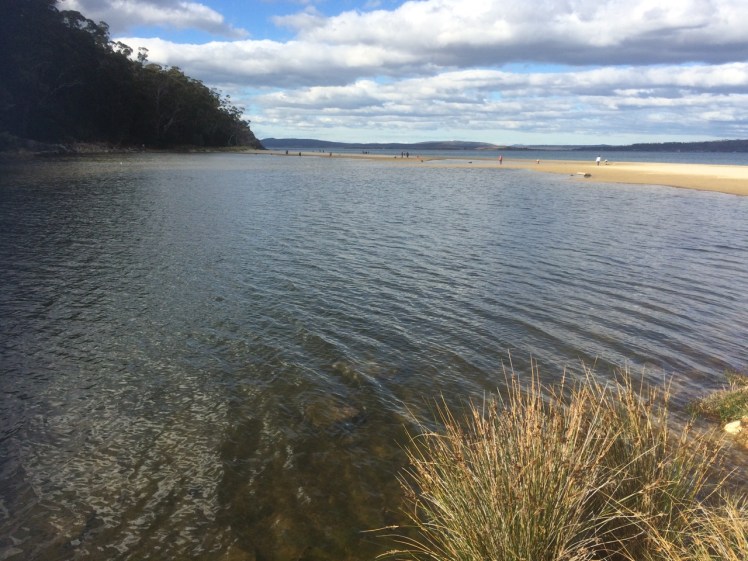 Tyndall, Brown's and Kingston Beach