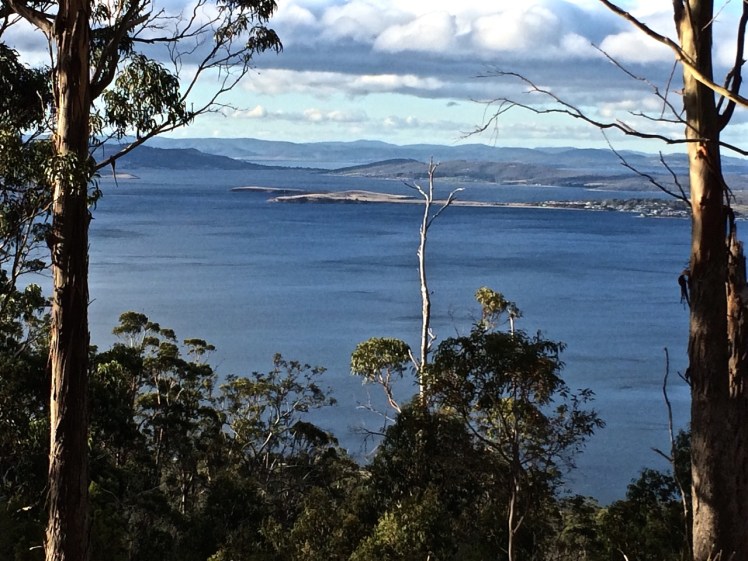 VIEW FROM TINDERBOX HILLS OVER RALPHS