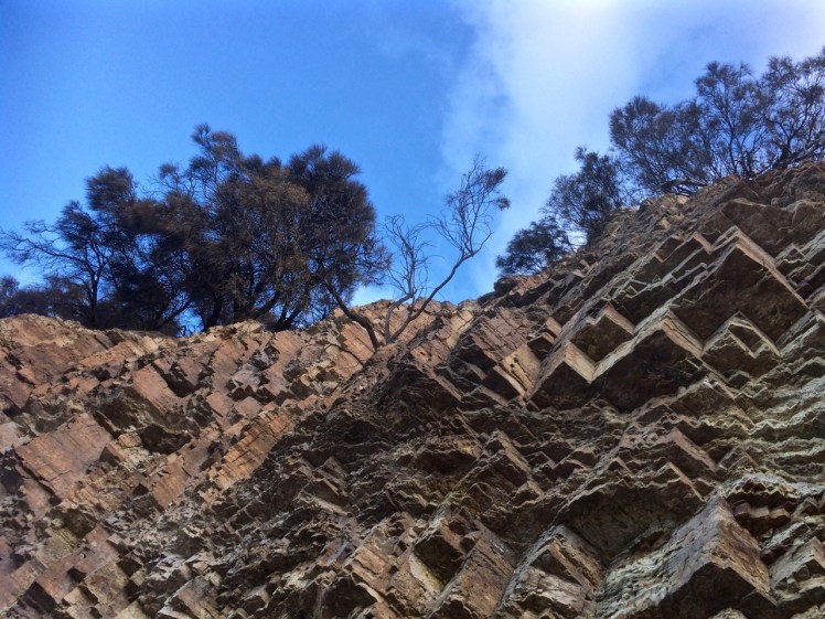 Fossil Cove looking up
