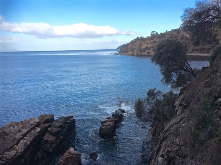Looking south to Passage Point from Lucas Point