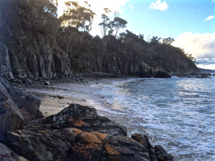 Tinderbox Flowerpot Coastal Reserve Beach