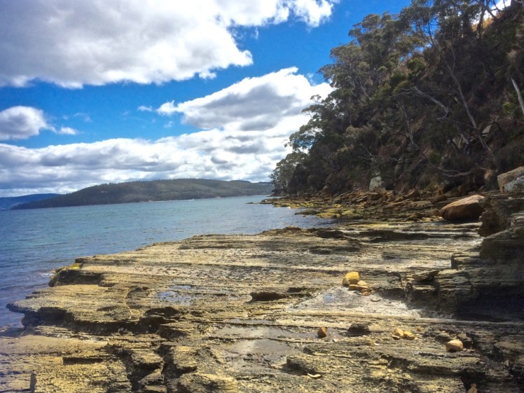 Rocky platform west of Tinderbox Beach.jpg