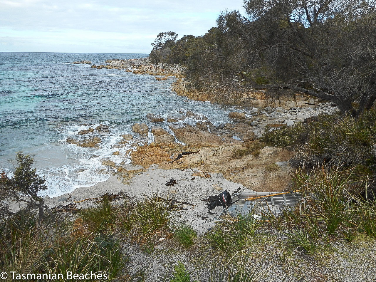 Seaton Cove South.jpg