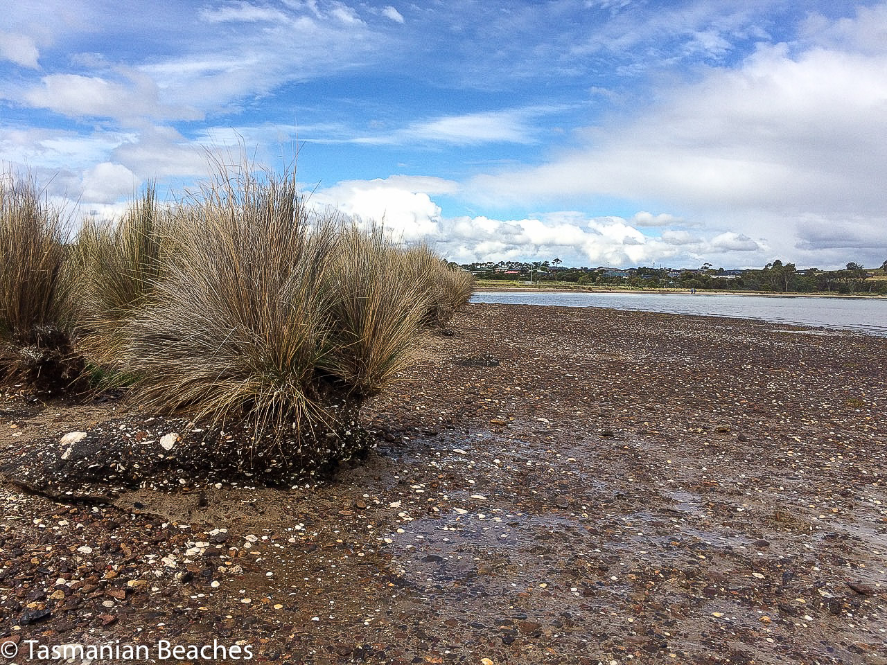 Tussocks and erosion