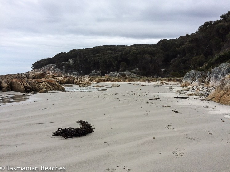 Beach2 on Dora - Grants walks.jpg