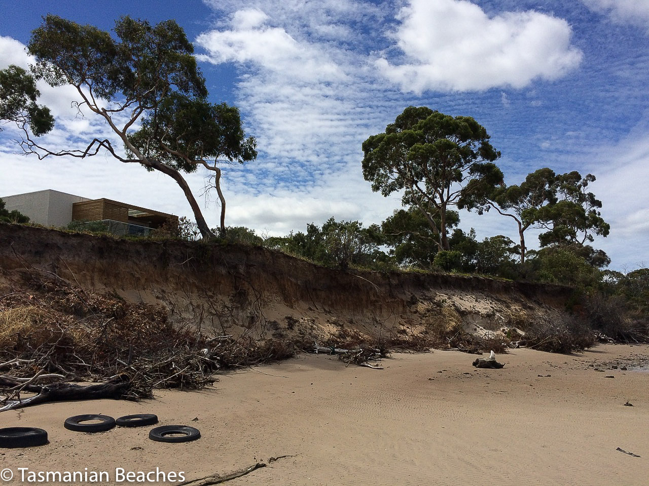 Lewisham Beach coastal erosion