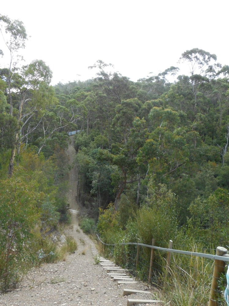 Walked in Feb 2017 after Sundra advised me about this new track.