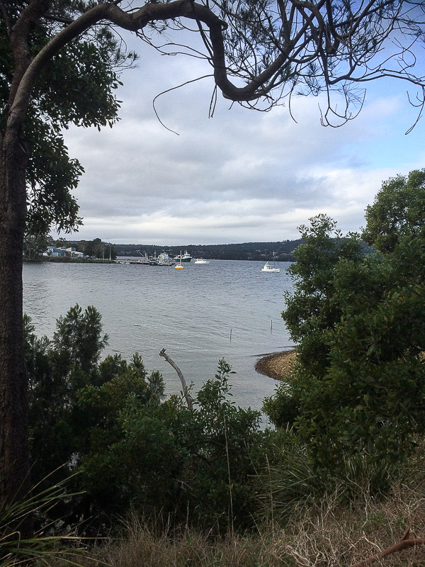 Margate and David Burrows Reserve-2.jpg