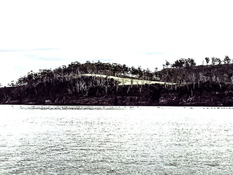 Okehampton Trip - the pens _.jpg