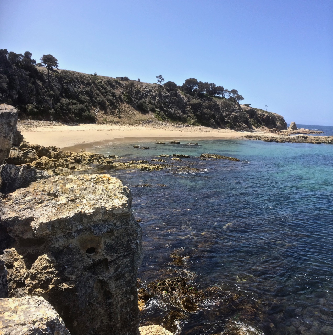 The last beach on the eastern shore.jpg