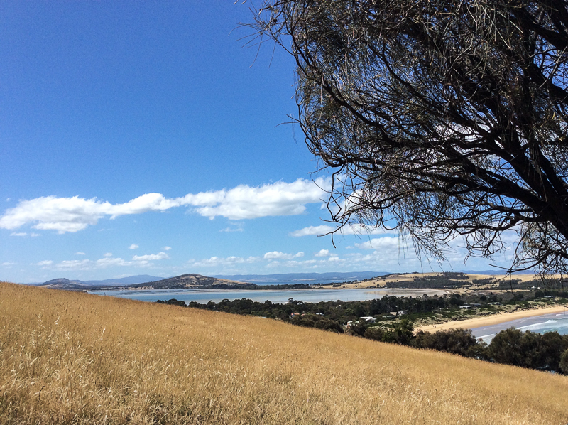 Clifton Beach and the golden grass.jpg