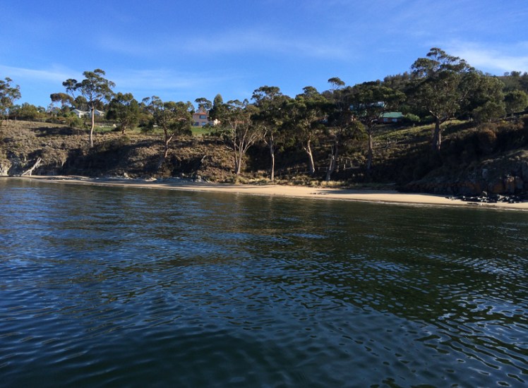 Kayaking Single Hill.jpg