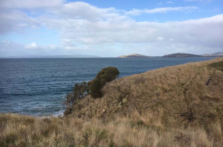 View from Single Hill.jpg