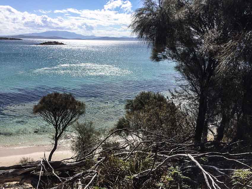 Lagoon Beach Walk.jpg