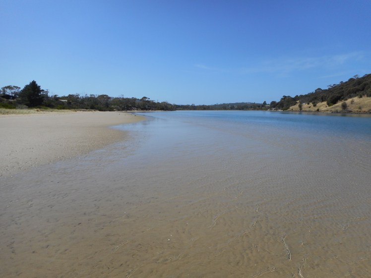 Carlton River (1).jpg