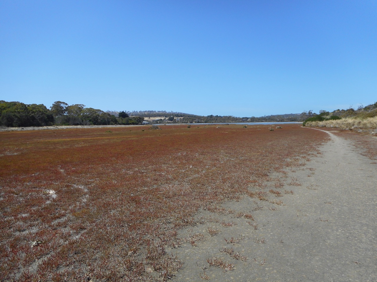 Carlton River (5).jpg