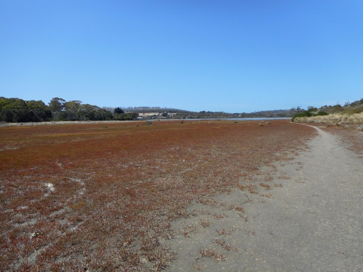 Carlton River (5).jpg