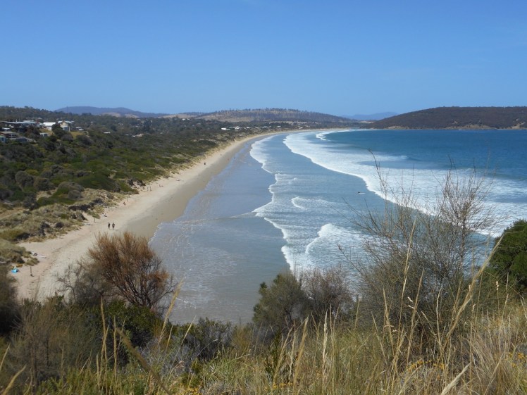 View of Park and Carlton Beaches from Spectacle Head.jpg